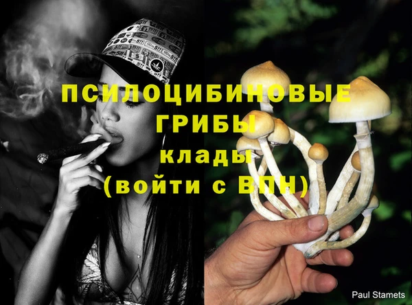 меф Алексин