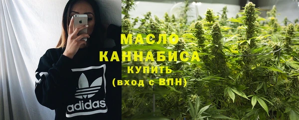 сатива Медногорск