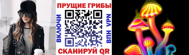 Псилоцибиновые грибы GOLDEN TEACHER  Красноярск 